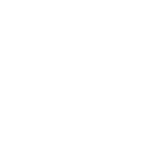 bricks.dev.andristeinn.is